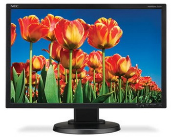 NEC multiSync E222W